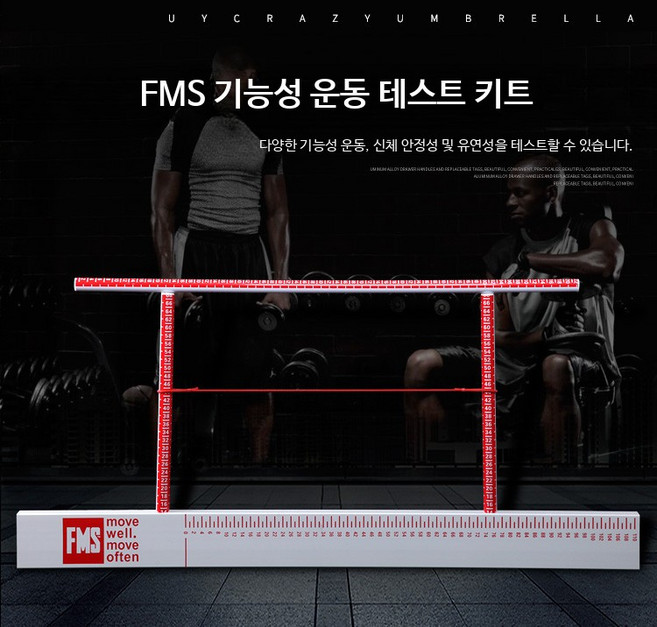 테스트 키트 fms 스크리닝 측정 신체 기능 운동테스트 선별검사 도구 검사 운동 운동검사, 1개, 수입 고급 원목 모델
