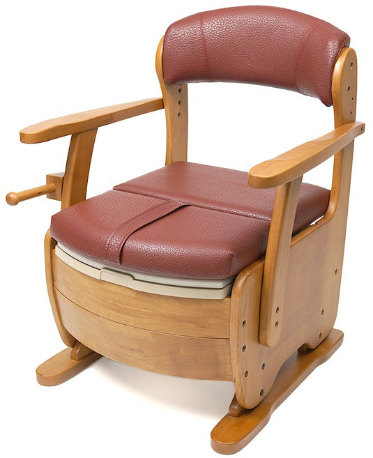 환자용 변기 이동 변기 간이 노인 어르신 복지용구 APT-103, 15%, 1개