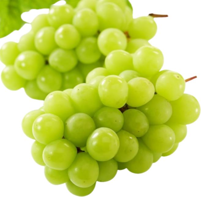 [김천 명인] 프리미엄 고당도 샤인머스켓 수출용, 1개, 명인 샤인머스켓 4kg (4수~5수)