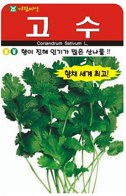 고수 씨앗 향채 씨 종자, 3개