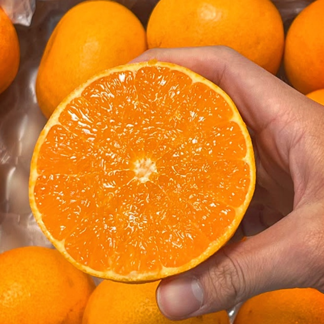 [전국 최저가] 15brix 고당도 천혜향, 1박스, 2kg 소과