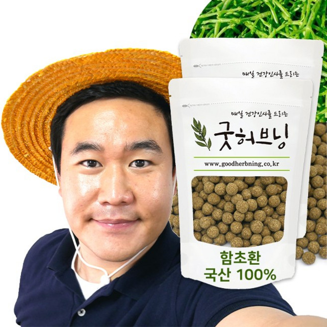 함초환 함초 퉁퉁마디 함초소금 국산 효능 250g 굿허브닝, 2개