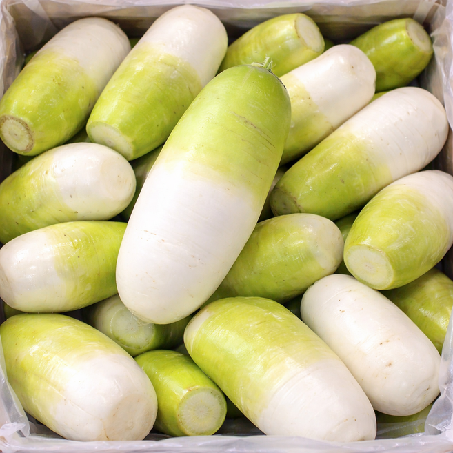 [50박스한정] 무우 국산 제주 무, 1박스, 월동무10kg