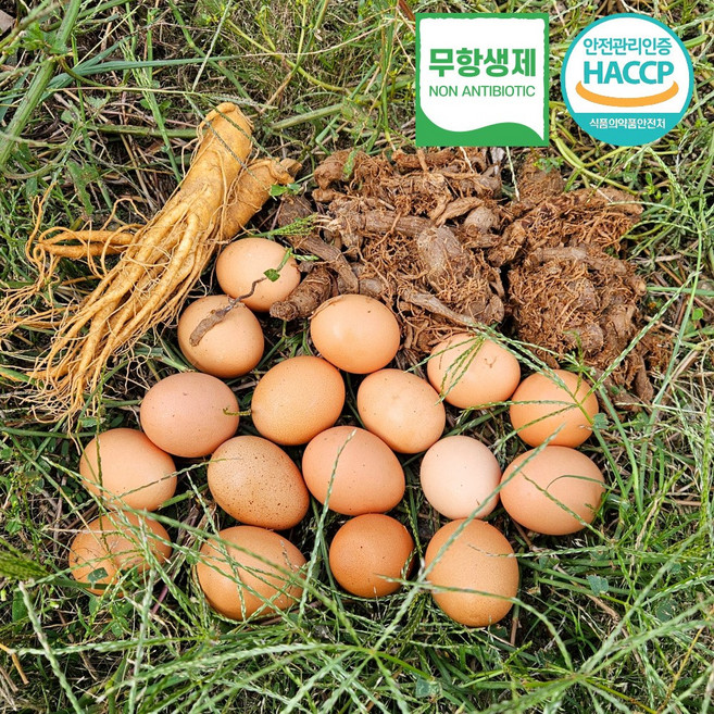 [HACCP무항생제] 자연방사 홍삼먹고 자란 난각 1번 홍삼란 유정란, 30구