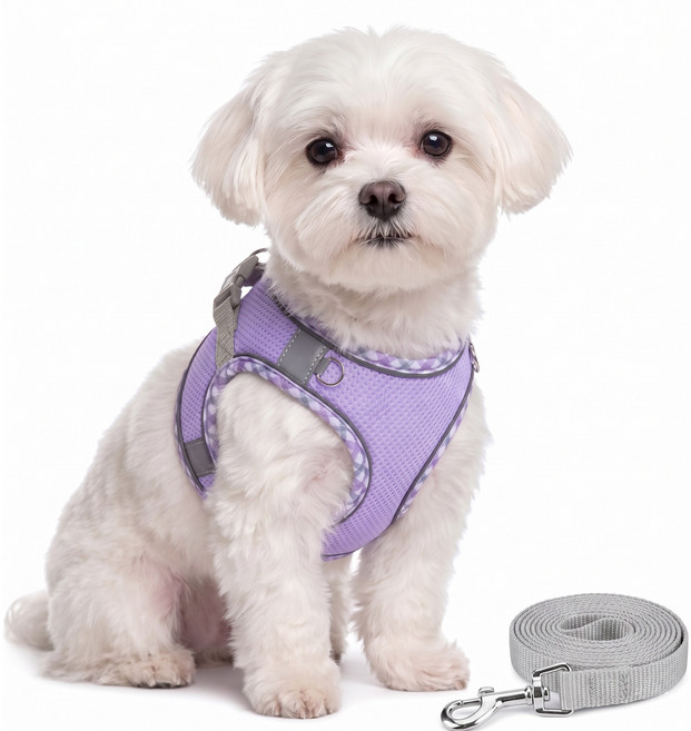 강아지 하네스 리드줄 세트 소형견 목잠김 방지 조끼형 말티즈 비숑, 연보라, 1개