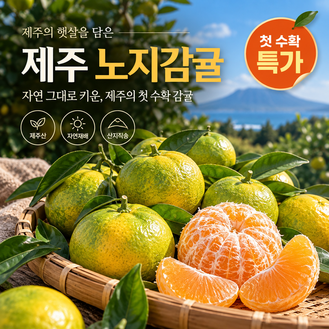 [제철과일 특가] 제주 노지감귤 신선한 당도보장, 1박스, 5kg (로얄과 2S-M)