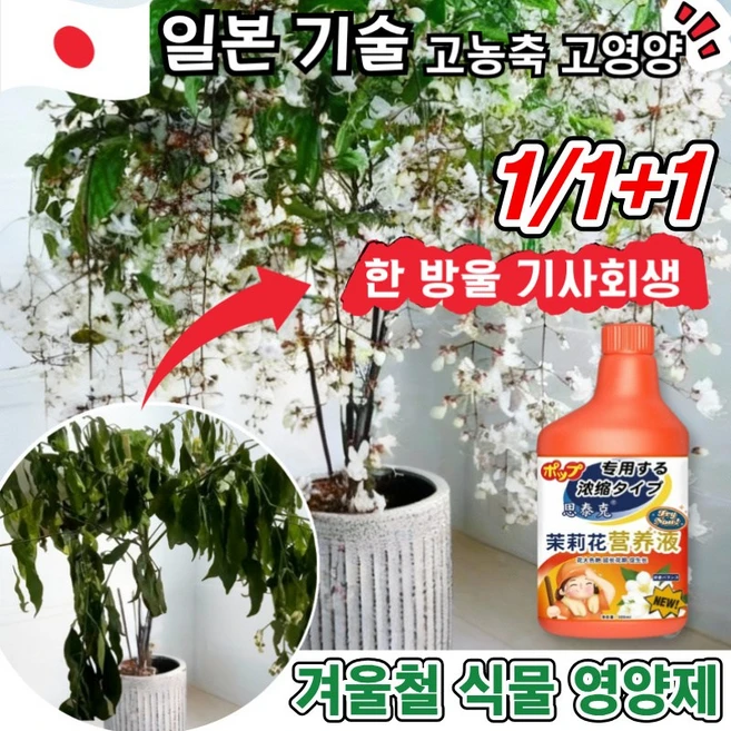 [고농축+고영양]1/1+1겨울철 식물영양제 가정용 화분 식물 병해관리제 잎마름 갈변 뿌리 썩음 예방 치료 광합성증진 칼슘 마그네슘 망간 붕소 철분 보충 다달이 피어나다, 1개, 500ml - 쿠팡