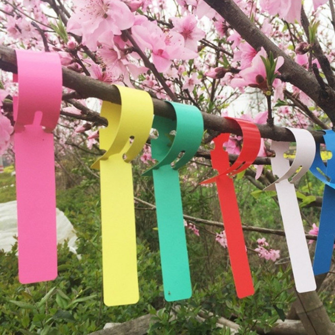 나무 식물 네임택 가지걸이 이름표 수목 라벨 표찰 200p, 핑크 200p