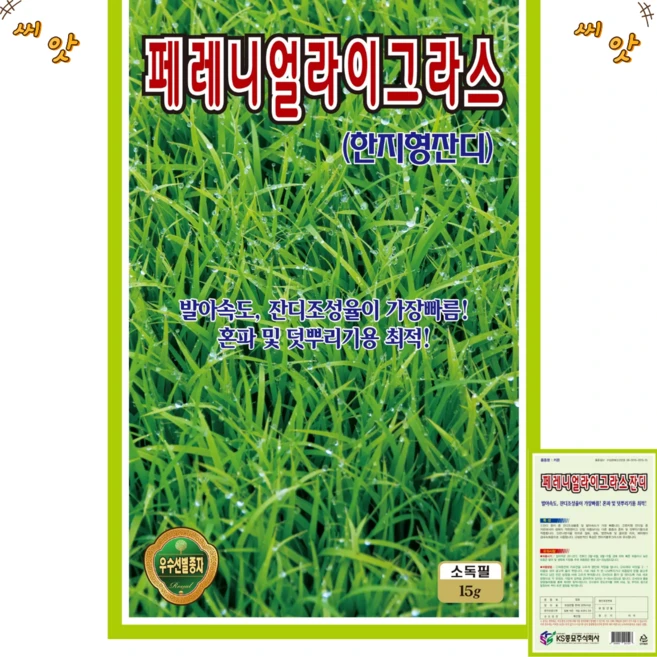 페레니얼라이그라스 잔디 씨앗(15g) 한지형잔디 덧뿌리기용 전원 들잔디 한국형잔디 산소 잔듸씨, 1개 - 쿠팡