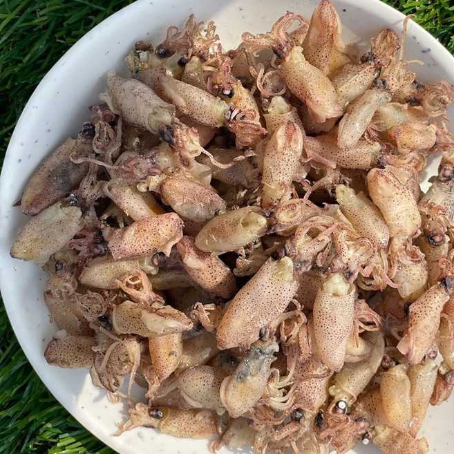 신건호멸치 직접잡은 햇 꼴뚜기(상급) / 반찬 건꼴뚜기 마른안주, 1개, 300g