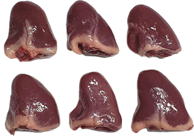 한결컴퍼니 생 오리염통 1kg 냉동 손질 냉동 오리심장 오리고기 수제간식재료, 1개