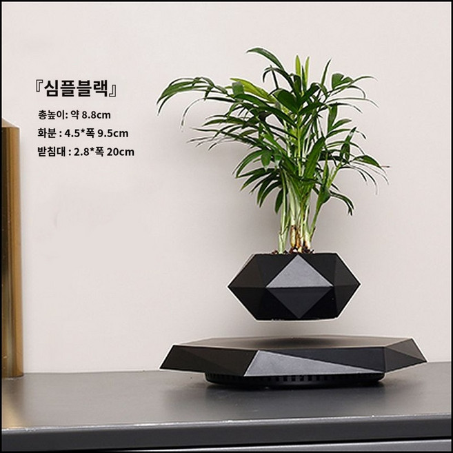 자기부상 분재 화분 아이디어 인테리어 사무실 탁상용 전자기 부상 공중부양 회전 기프트 우드 (하중 600... 1개, 육각 블랙