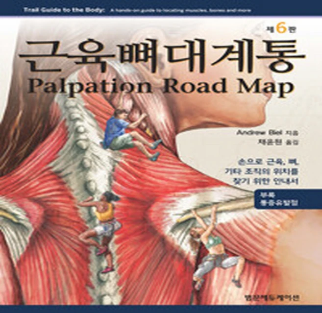 NSB9791159432415 새책-스테이책터 [근육뼈대계통 Palpation Road Map] -손으로 근육 뼈 기타 조직의 위치를 찾기 위한 안내, 근육뼈대계통 Palpation Road Map - 쿠팡