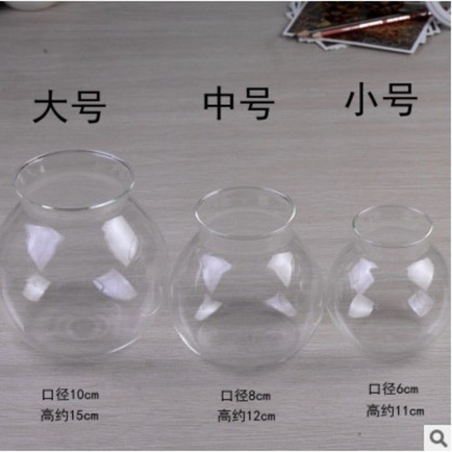 微景小舖 微景觀生態玻璃瓶 永生花許願瓶 多肉植物玻璃花盆 苔蘚微景觀DIY 木塞玻璃瓶, 中號 13.5*13.5cm