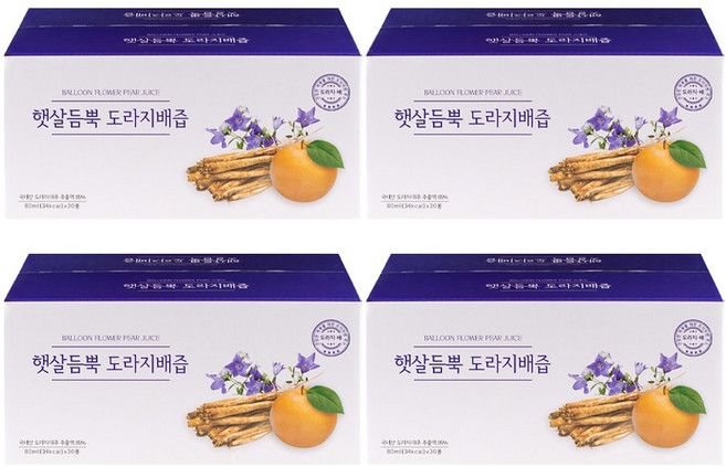 햇살듬뿍 도라지배즙 (4세트), 2.4L, 4박스