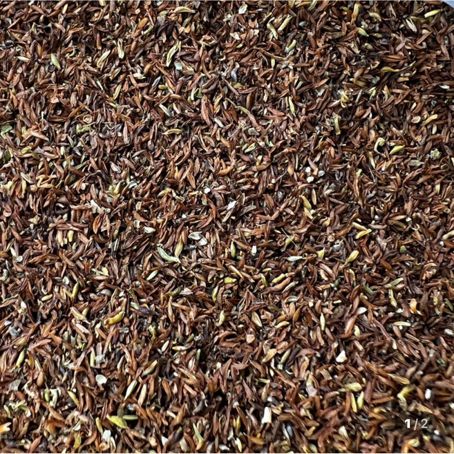 화천 자연애 눈개승마(삼나물) 씨앗 1g, 1개