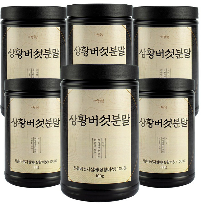 두손애약초 국산 상황버섯 가루 분말 파우더 100g, 6개