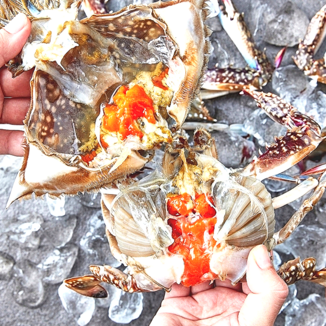 연평도꽃게 냉동 손질 양념게장용 1kg, 1개, 12.봄암꽃게2-3미1kg 알90%찜/간장용