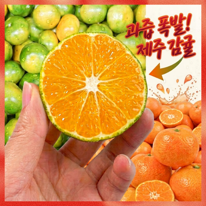 [안심선별] 산지직송 제주 감귤 초고당도 노지귤, 1박스, 로얄과 3kg