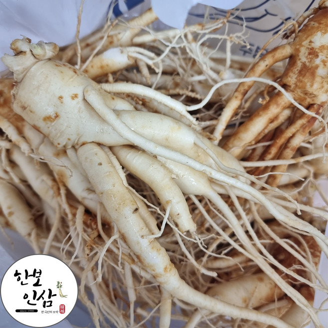 풍기인삼 [실속형] 5년근 6년근 막삼 파삼 산지직송 갈아먹는 백숙용 막삼800g+덤200g(세척), 1개, 2kg(막삼1600g+덤400g), 2kg