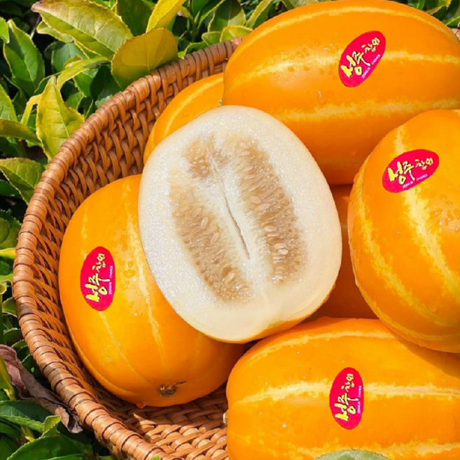 [단독특가] 유명산지 당도선별 성주 꿀 참외, 1박스, 5kg(소과)