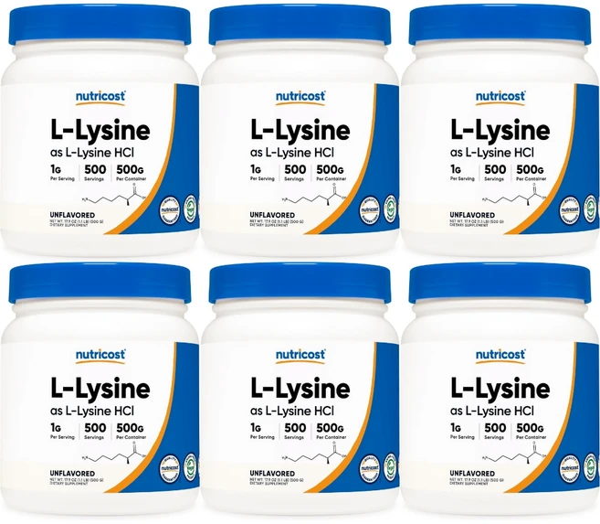 뉴트리코스트 고흡수 엘 라이신 파우더, 500g, 6개 - 쿠팡