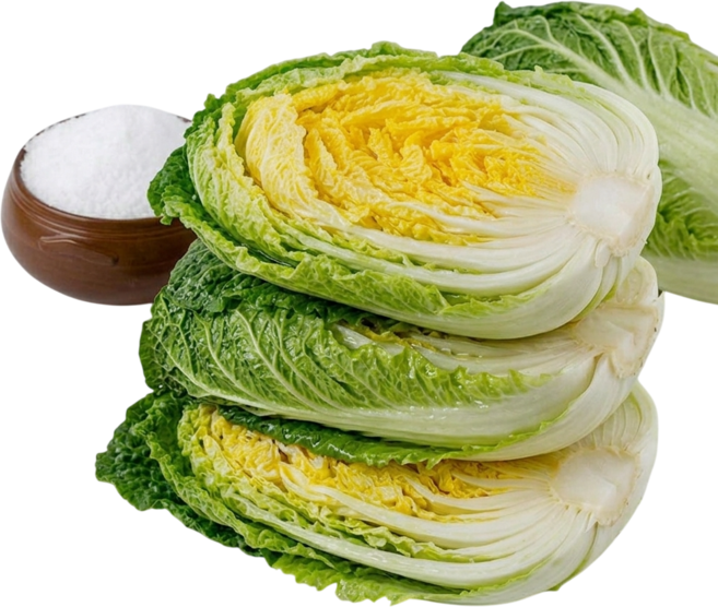 (도착일선택) HACCP 해남절임배추 20kg(6~8포기)/ 천일염 100% 국내산재료사용/ 절인배추 김장배추, 20kg, 1개