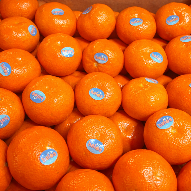 미국산 고당도 감귤 수입 만다린 귤 2S 소과, 1개, 2kg