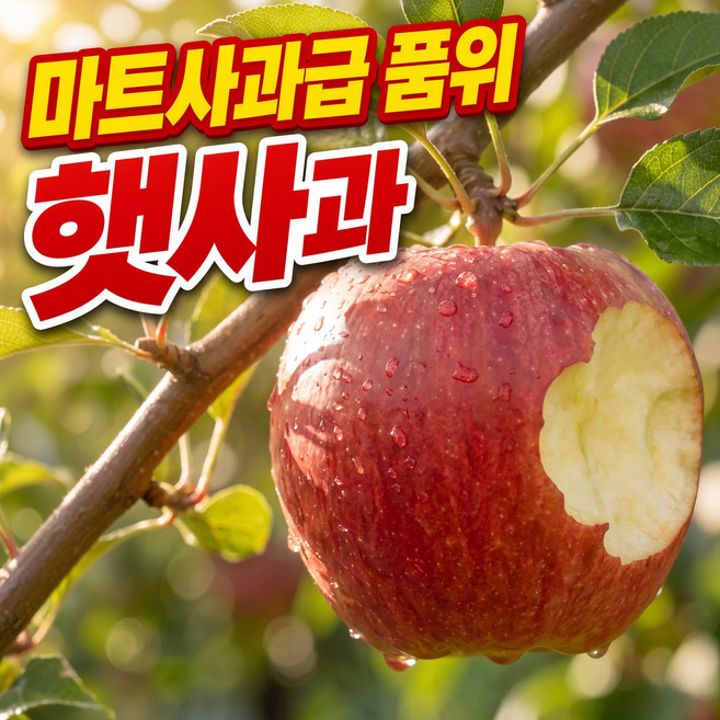[재구매1위] 3차완판 선별사과 꿀당도 못난이사과, 1박스, 5kg