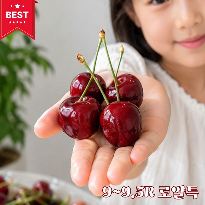 9-9.5row 프리미엄 미국산 생 체리, 1개, 체리 특대과(9~9.5R) 300g