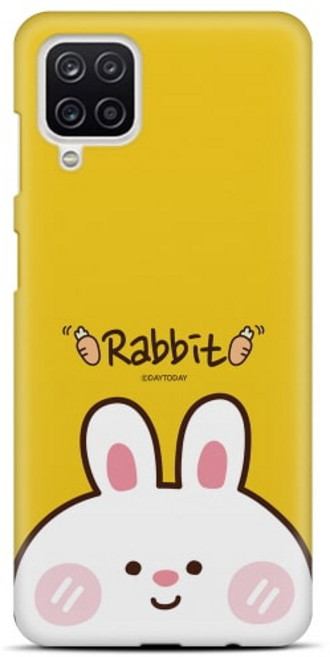 데이투데이 갤럭시점프2 케이스 애니멀 페이스 하드 SM-M336K