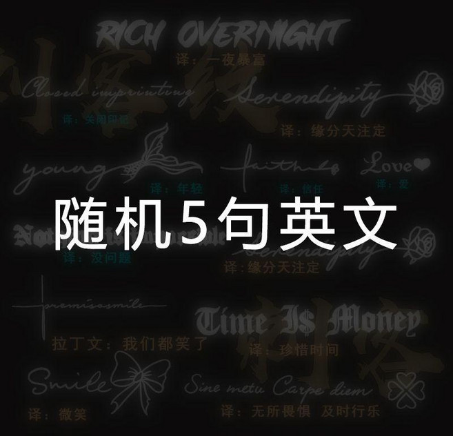 英文紋身貼 草本果汁 半永久 防水真實感 A1套餐, 1個, 隨機5句英文