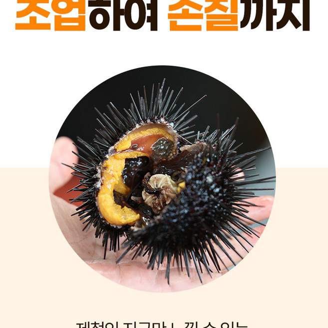 보라성게알 100g + 감태10장, 1개, 단일