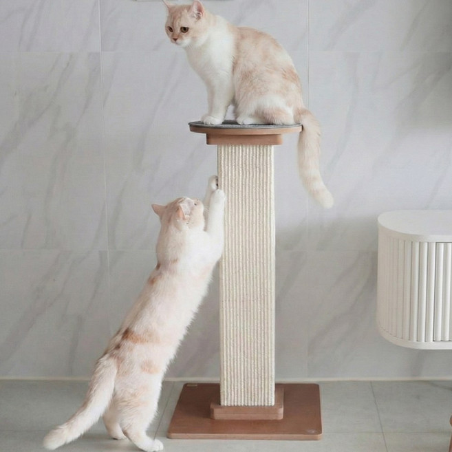 아토주 파우제 고양이 기둥 수직 스크래쳐 탑시트 포함, 1개, 원형 그레이 세트