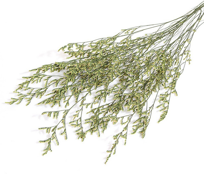 화연양화 프리저브드플라워 미스티블루 6가지색 드라이플라워 시들지않는생화, 01 그린