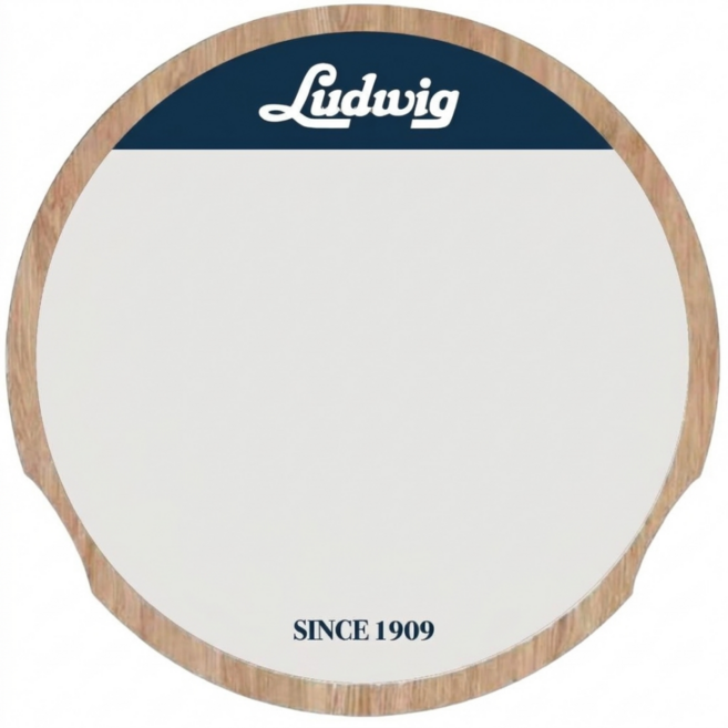 루딕 드럼 연습 패드 12인치 (스탠드 추가 가능), 1개, 화이트 - 12인치