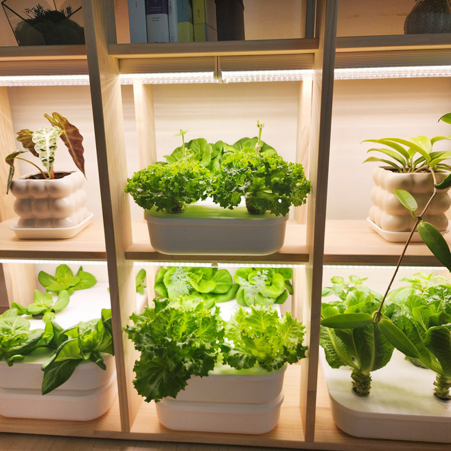 수경테리어 녹조예방 수경재배 화분 9구 단품(포트 불포함), 1개