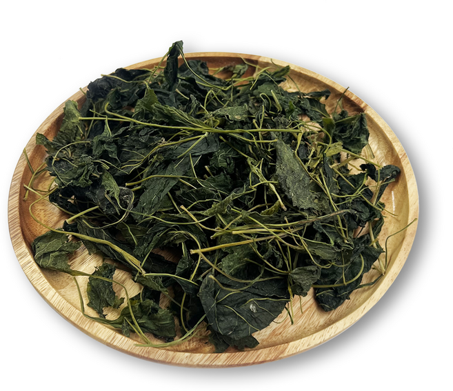 제주 건 취나물 말린나물, 1개, 500g