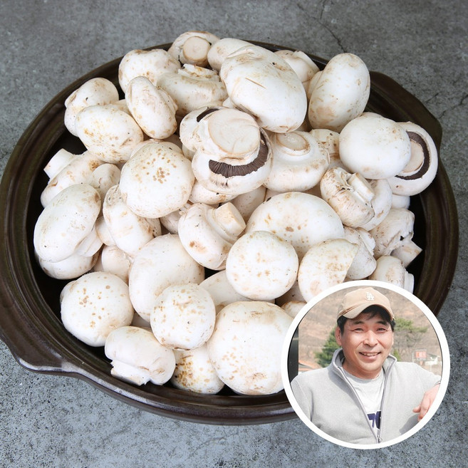 전대표 부여 못난이 양송이 버섯 산지직송 ugly white button mushroom B품, 1개, 2kg