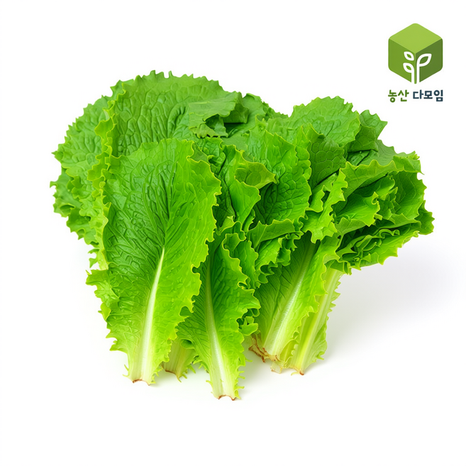 청상추(특) 4kg, 1개