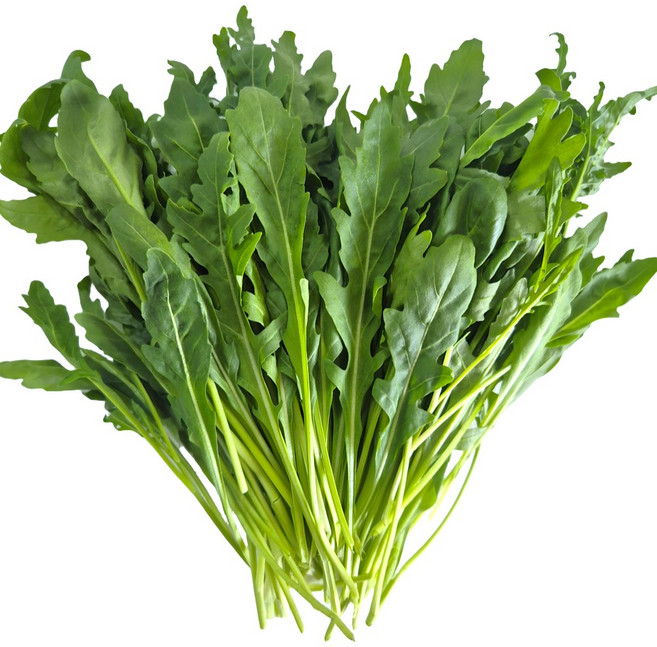 [물맑은 양평] GAP인증 지평 농부 와일드루꼴라2kg, 1개, 2kg