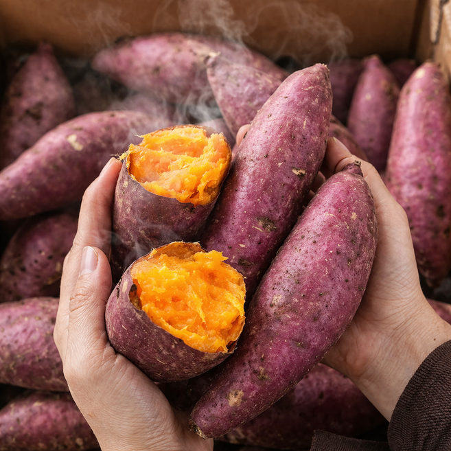 [마지막재고1+1] 해남 세척한 꿀떵이 햇 호박 고구마 5KG 특상 (총 10키로 발송), 1박스, 10KG