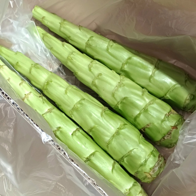 (국내산) 궁채 산지직송 나물줄기 줄기상추 생궁채 상추대나물, 1박스, 2kg