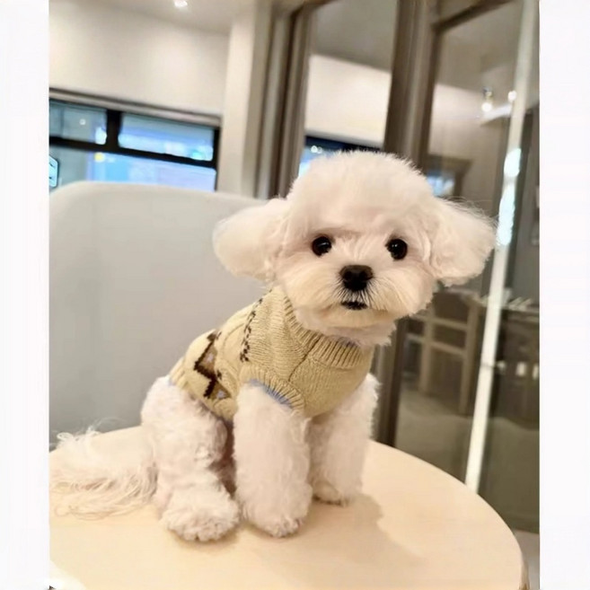 [시즌오프특가] 강아지 꽈배기 니트 조끼 보들보들 간절기 봄옷 소형견 중형견 애견의류 산책복, 1개, 아이보리