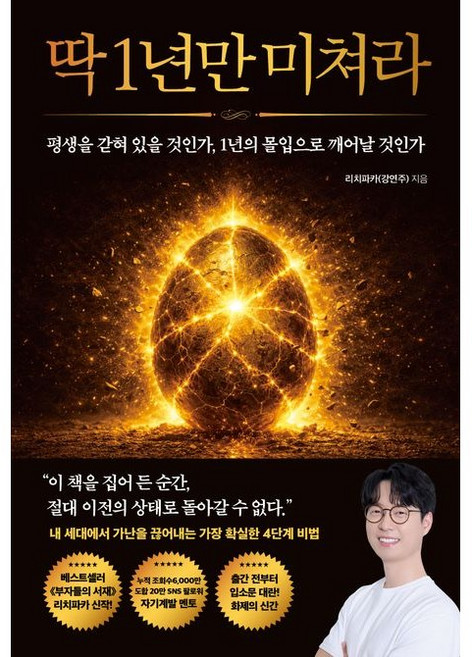 (리치파카) 딱 1년만 미쳐라 : 평생을 갇혀 있을 것인가 1년의 몰입으로 깨어날 것인가, 반양장