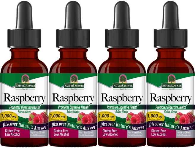 네이처스앤서 고흡수 라즈베리 1000mg 액상 액체, 30ml, 4개 - 쿠팡