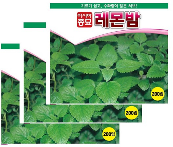 아시아종묘 씨앗 허브 레몬밤 200립 3ea, 3개