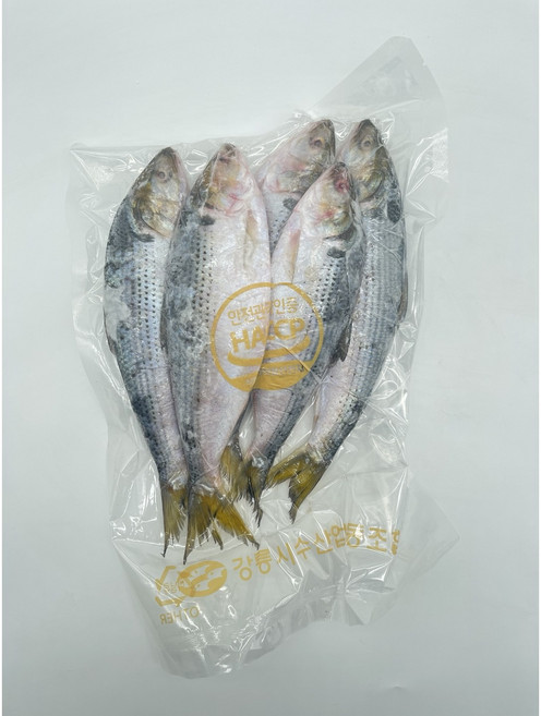 동해바다가 키운 생물 전어(2kg 8~10미)구이 매운탕 싱싱한 전어 1킬로씩 개별진공포장, 1세트, 생물전어 2kg