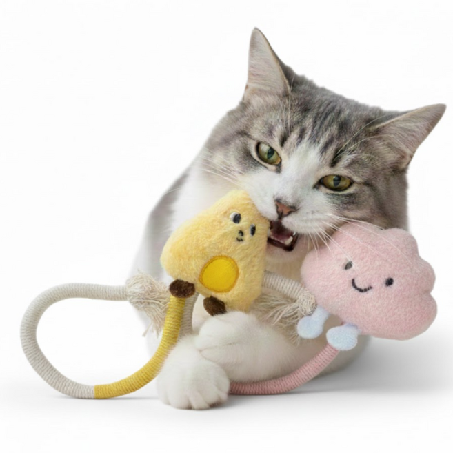 테일즈락 면끈 고양이 이갈이 장난감 스트레스 해소, 1세트, 치즈구르미