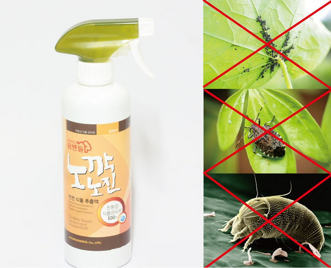 식물관리제 노깍노진 500ml 스프레이형 해충제거 진드기 개미 파리 제거 식물성장, 1개